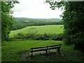 View from Nut Wood