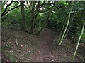 Footpath on the boundary of Nore house