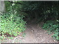 Bridleway to Nore Hanger from Nore house