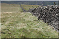 SD6960 : Wall on Catlow Hill by Tom Richardson