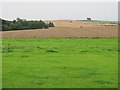 Farmland, Tillmouth