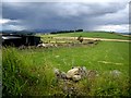 Field boundary by Tigh na Bruach