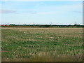 SE8441 : Farmland near Shipton Grange by JThomas