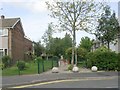 Yew Tree Walk - Sycamore Avenue