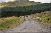 NN3031 : Forestry road in Glen Lochy by Steven Brown