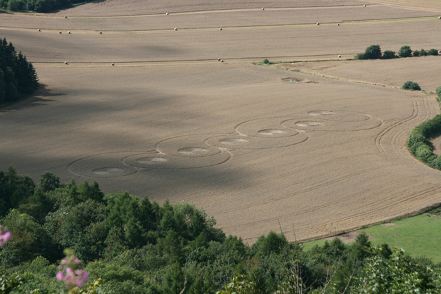 Crop circles near Hood Grange, Sutton Bank