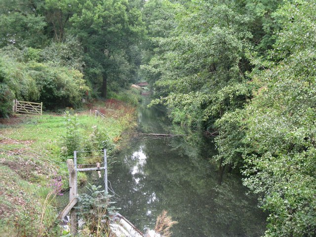 Wey Arun Canal from Compasses Bridge to... © Dave Spicer :: Geograph ...