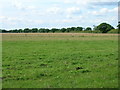 Farmland near Laytham Green Farm