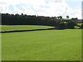 Pastures and woodland east of Willimoteswick