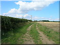 Farm track (footpath) to Thornton Grange