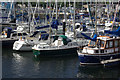 Milford Haven Marina