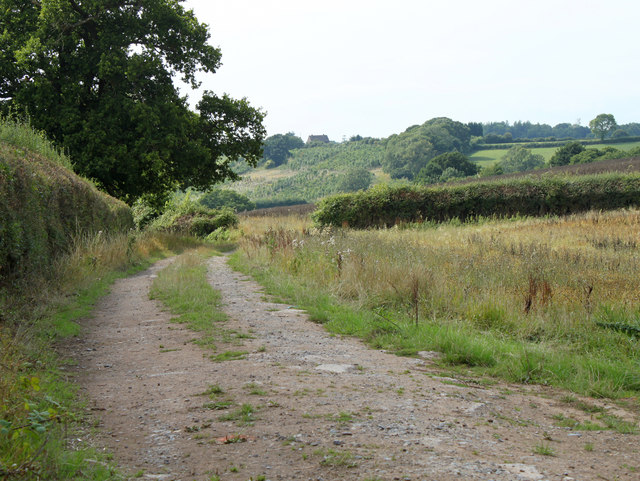 2010 : Farm track near Chelwood