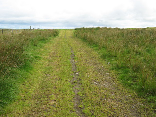Grass track to Forsie