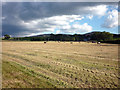 Hay field, Cotegill