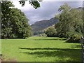 Meadow near Grisedale Bridge