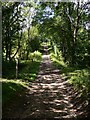 Bridleway leading west to Graffham