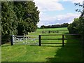 Route between paddocks on stud farm