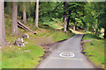 Road and track into the woodland near Bridge of Balgie