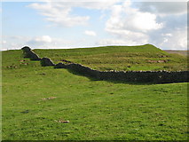 NY6948 : Whitley Castle (Epiacum) - northwest ramparts by Mike Quinn