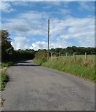 SU6717 : Road between the Bat and Ball pub and Hyden Cross by Margaret Sutton