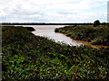 Inlet next to the River Ouse