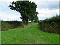 Bridleway near Rowde