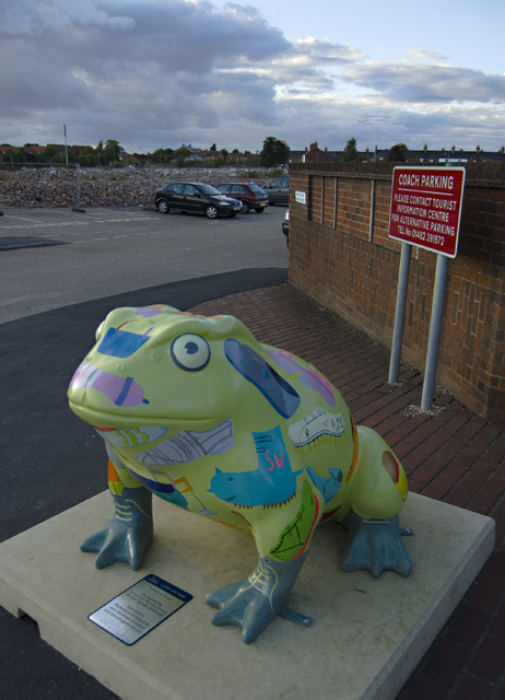Larkin toad, Beverley