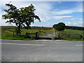 SO1486 : Kerry Ridgeway looking West from B4368 by Richard Greenwood