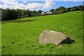 Boulder in a Field Near Thornthwaite Hall