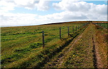 ND4696 : Track to the trig point, uphill. by Ian Balcombe