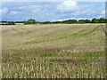 Stubble fields near Barford St Martin