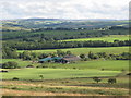 Farmland between Shankhead and The Steel (2)