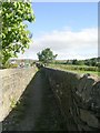 Footpath - Hays Lane