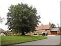 Welton - a lane junction with a big tree