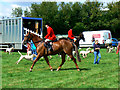 Vale of White Horse Hunt, Cricklade Show 2010