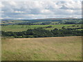 Farmland near Shankhead (3)