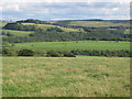 Farmland between Midgeholm and Kingswood (2)