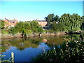 View across the Severn