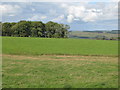 Pastures and woodland north of Shankhead