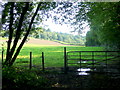 Gate and pasture