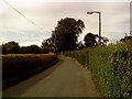 Lane in Littlethorpe