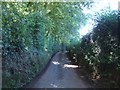 Road to Appledore from Lower Cross