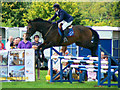 Horserider, Cricklade Show 2010 (1)