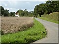 Country lane at Parliament Heath