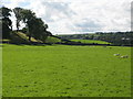 Pastures below Partridge Nest