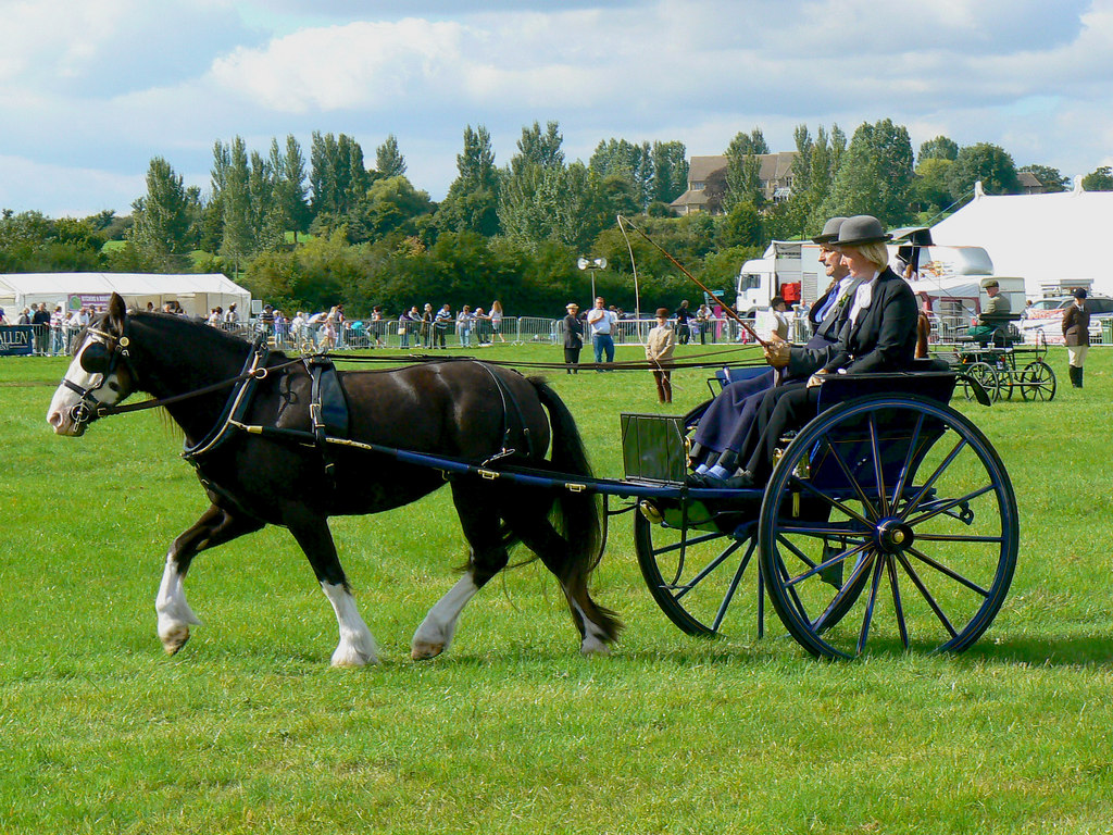 Horse and carriage, Cricklade Show 2010 © Brian Robert Marshall cc-by ...