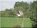 Thatched cottage in the distance