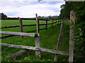 Footpath at stud farm