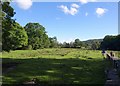 NY3605 : Meadow by the Rothay by Derek Harper