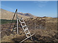 NN2241 : Deer Fence With Ladder Stile by Trevor Littlewood